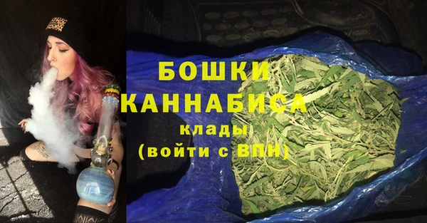 крисы Зеленодольск
