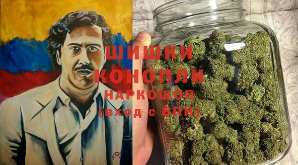 крисы Зеленодольск